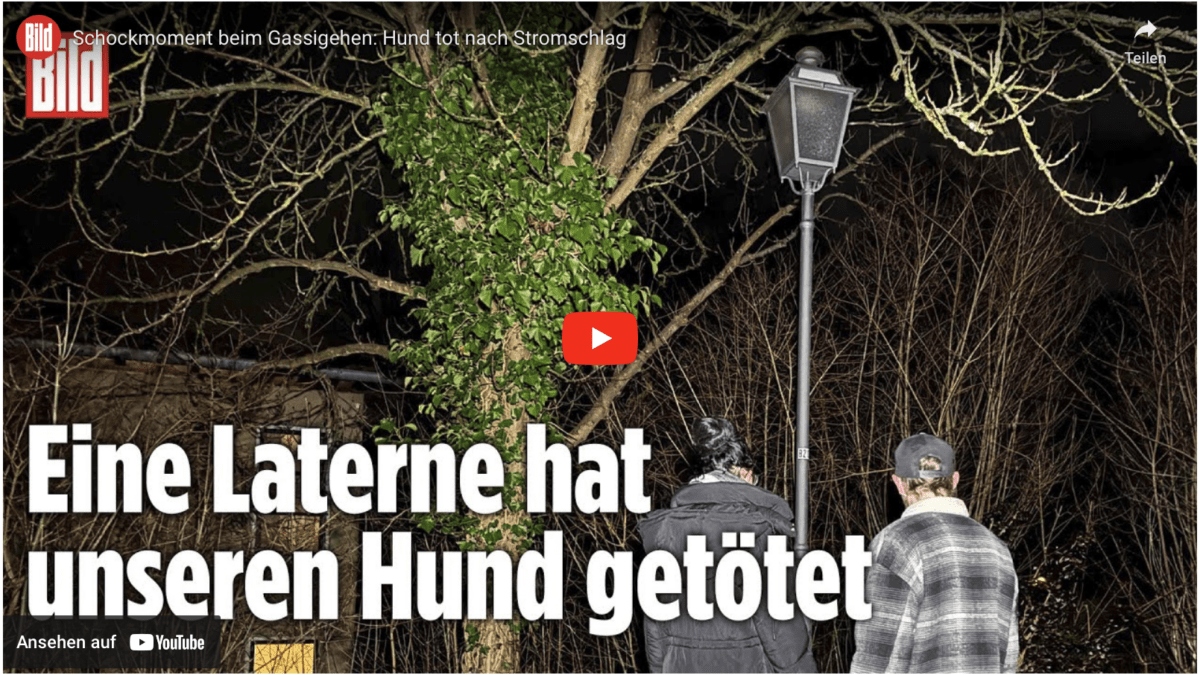 Schockmoment beim Gassigehen: Hund tot nach Stromschlag