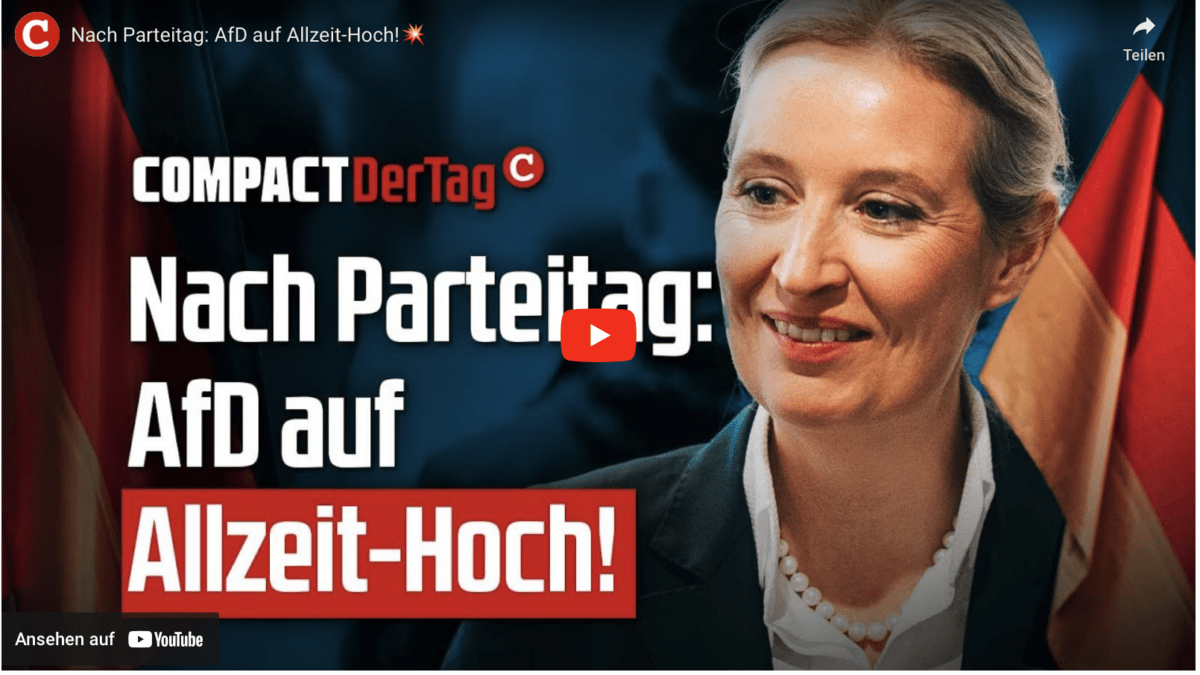 Nach Parteitag: AfD auf Allzeit-Hoch!