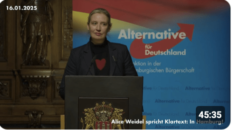 Alice Weidel spricht Klartext in Hamburger Rathaus