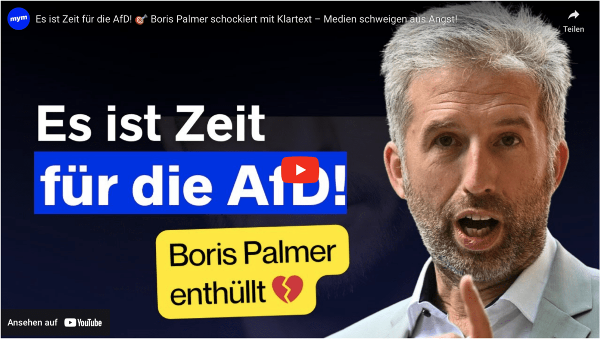 Es ist Zeit für die AfD!  Boris Palmer schockiert mit Klartext – Medien schweigen aus Angst!