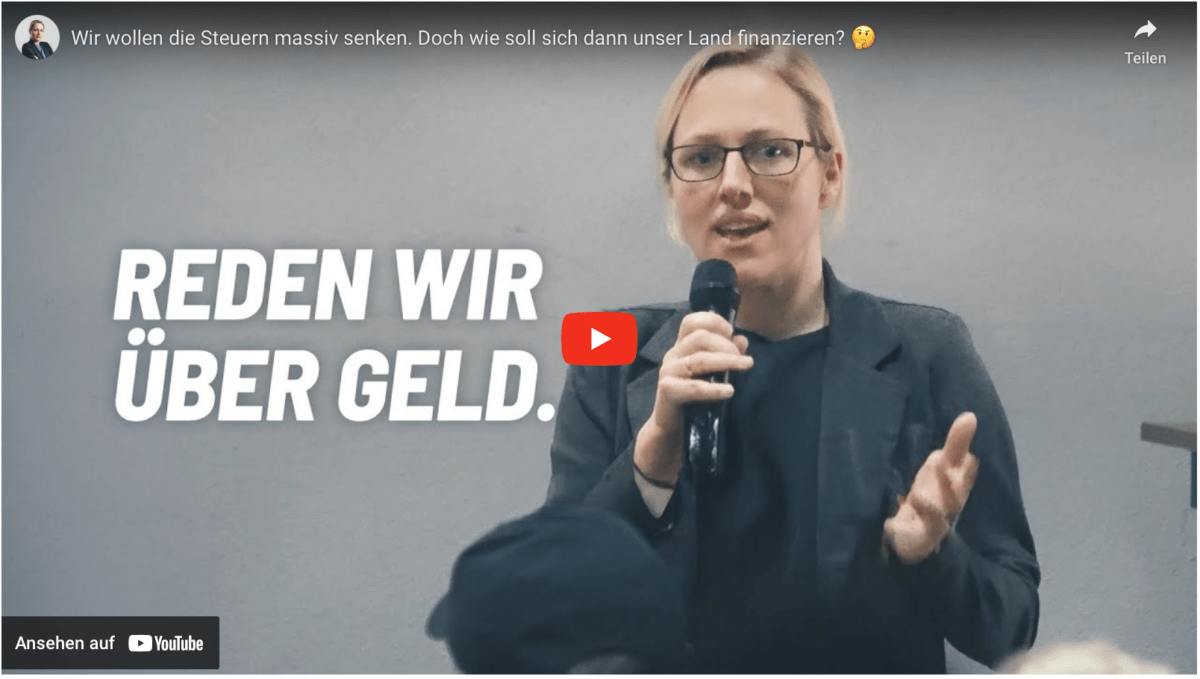Wir wollen die Steuern massiv senken. Doch wie soll sich dann unser Land finanzieren? 