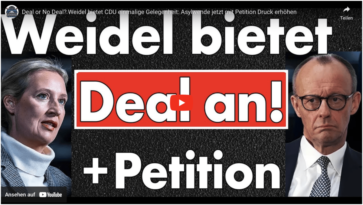 Deal or No Deal? Weidel bietet CDU einmalige Gelegenheit: Asylwende jetzt mit Petition Druck erhöhen