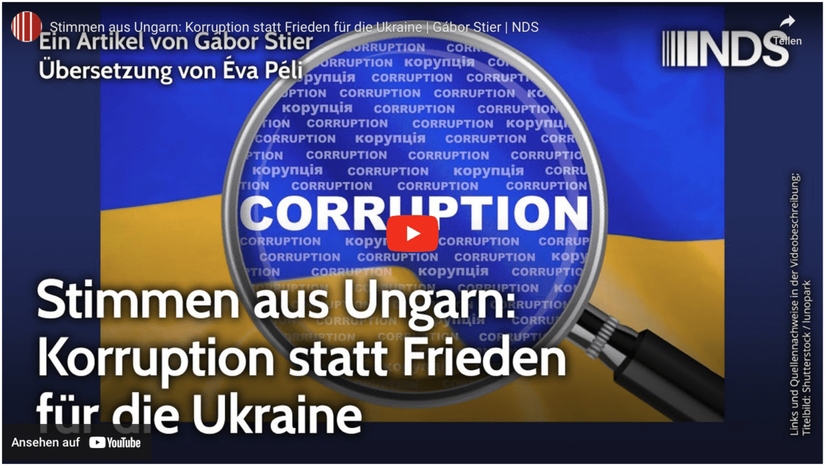 Stimmen aus Ungarn: Korruption statt Frieden für die Ukraine | Gábor Stier | NDS