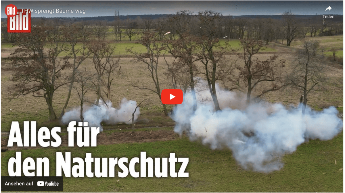THW sprengt Bäume weg!