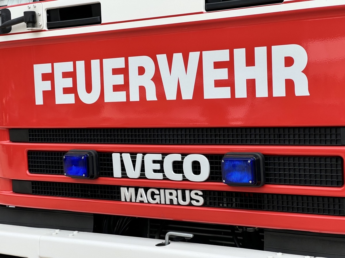 Elon Musk deckt auf! Die körperlichen Anforderungen für Frauen wurden gesenkt, um den Frauenanteil in der Feuerwehr zu erhöhen!
