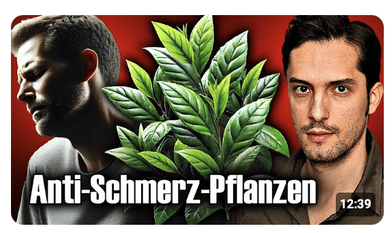 Diese Pflanzen schalten deine Schmerzen aus! Biologe deckt auf
