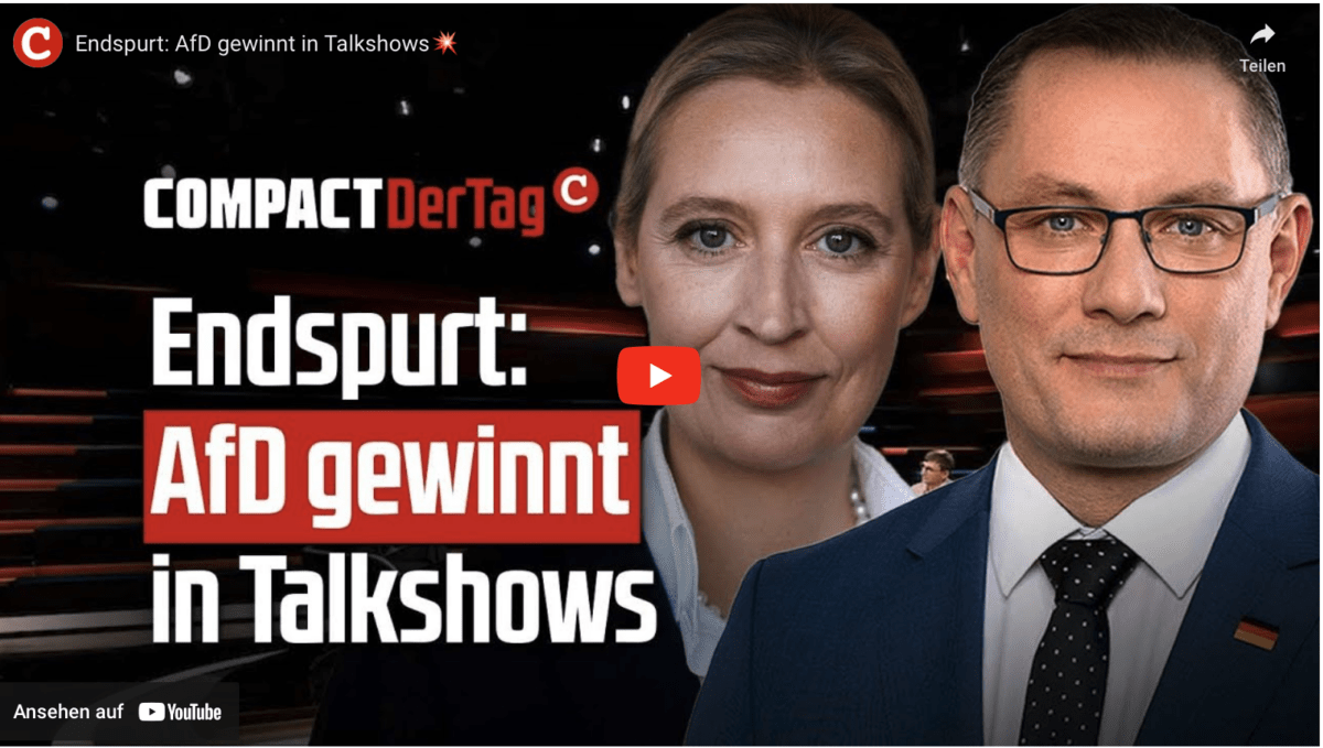 Endspurt: AfD gewinnt in Talkshows