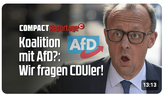 Koalition mit AfD? Wir fragen CDUler!