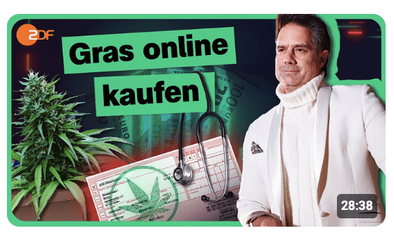 Onlineshop statt Dealer: Das dubiose Cannabusiness | Die Spur