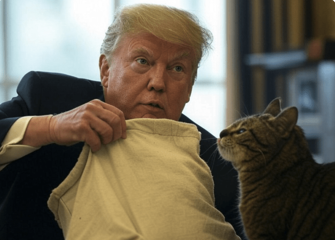 Donald Trump lässt Katze aus dem Sack, Palästinenser dürfen nicht mehr nach GAZA zurück kommen!