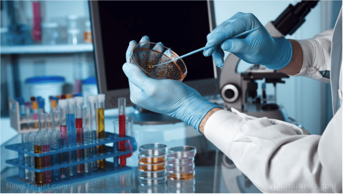 Die Wende der Wissenschaft in Richtung Dunkelheit