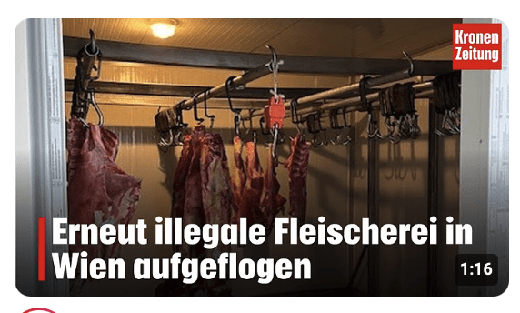 Erneut illegale Fleischerei in Wien aufgeflogen 