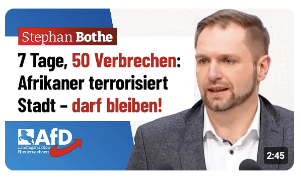 Facharbeiter-Skandal: 7 Tage, 50 Verbrechen: Afrikaner terrorisiert Stadt – darf bleiben!
