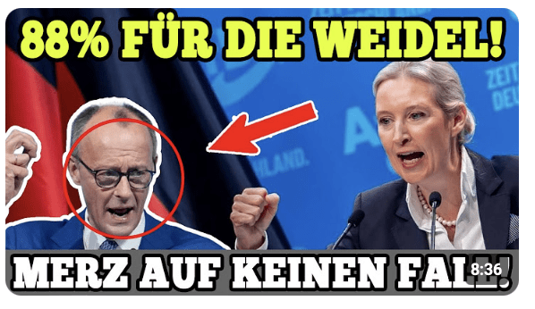 KLUGE RICHTER!! 88% für die Weidel! MERZ UND SCHOLZ auf keinen Fall!!