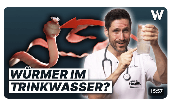 Darmparasiten erkennen: 5 Warnsignale, die Du nicht ignorieren solltest!