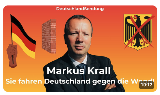 Sie fahren Deutschland vor die Wand! Markus Krall Statement im Interview