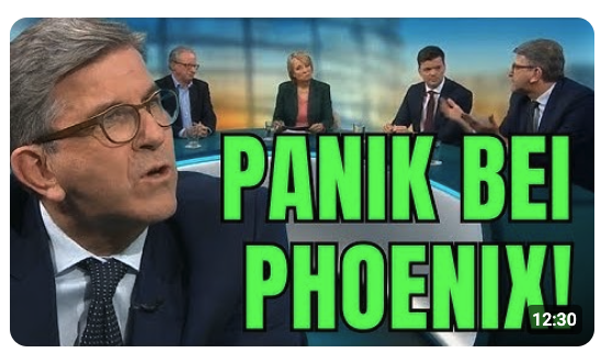 „Ein Angriff auf UNSER System!“ // Phoenix-Runde in heller Aufregung über AfD-Erfolg!