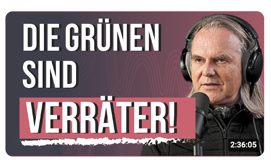 Die Grünen tun, was sie der AfD vorwerfen (Prof. Dr. Rieck)