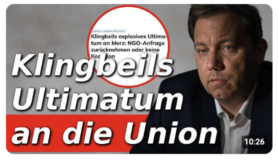 Merz in der Zwickmühle: NGO-Anfrage zurückziehen oder die Koalition verlieren?