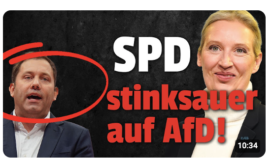 Von AfD VORGEFÜHRT! DESWEGEN spuckt die SPD FEUER und GALLE