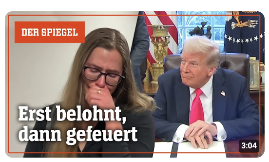 Gruber & Broder: Die Qual der Wahl