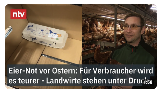 Eier-Not vor Ostern: Für Verbraucher wird es teurer – Landwirte stehen unter Druck