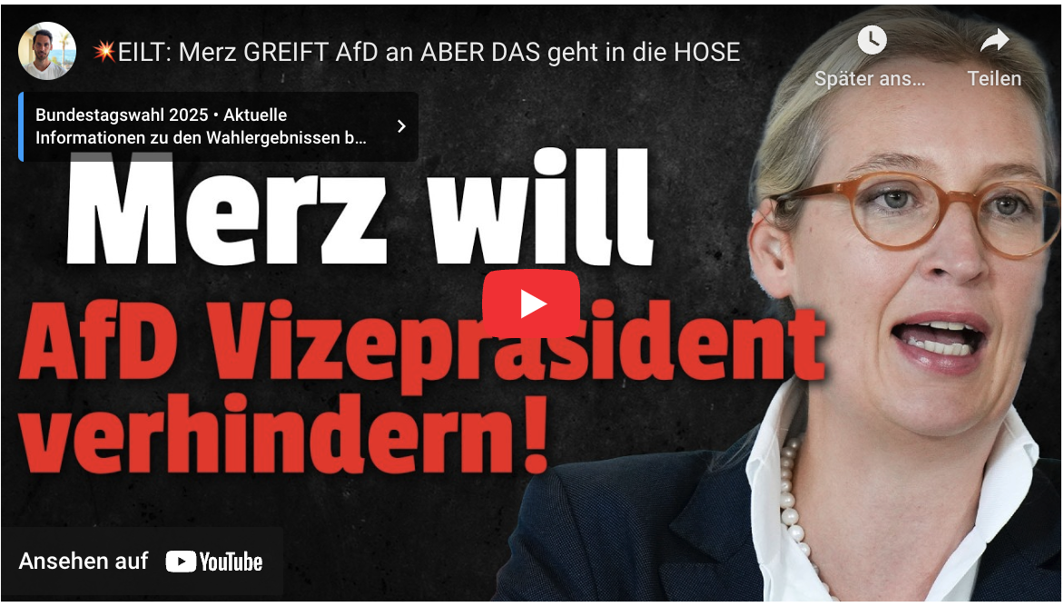 EILT: Merz GREIFT AfD an ABER DAS geht in die HOSE