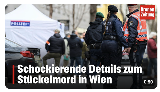 Schockierende Details zum Stückelmord in Wien 