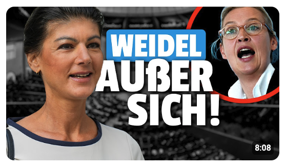 Unfassbar: AfD Redner wird Mikrofon abgedreht