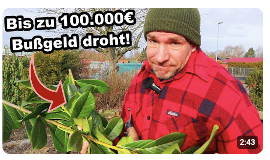 Wofür dir JETZT im Garten ein dickes BUßGELD droht!