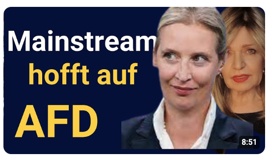 Verrückte Welt. Wenn Hauptstadt-Journalisten der AfD zustimmen
