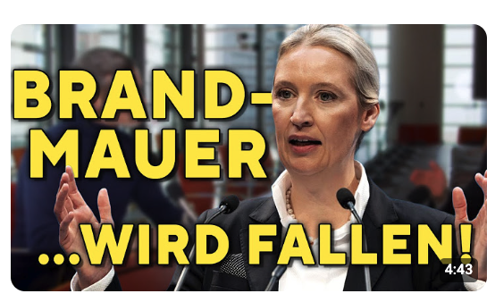 Alice Weidel: „Darüber wird nicht berichtet“