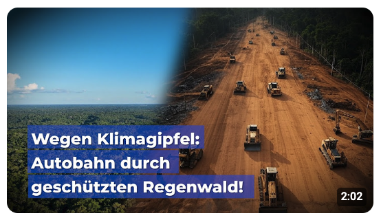 Wegen Klimagipfel: Autobahn durch geschützten Regenwald