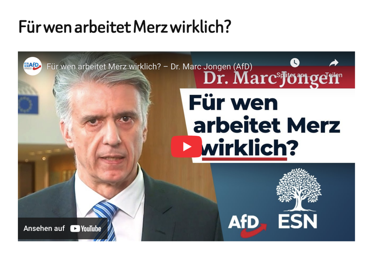 Für wen arbeitet Merz wirklich? 