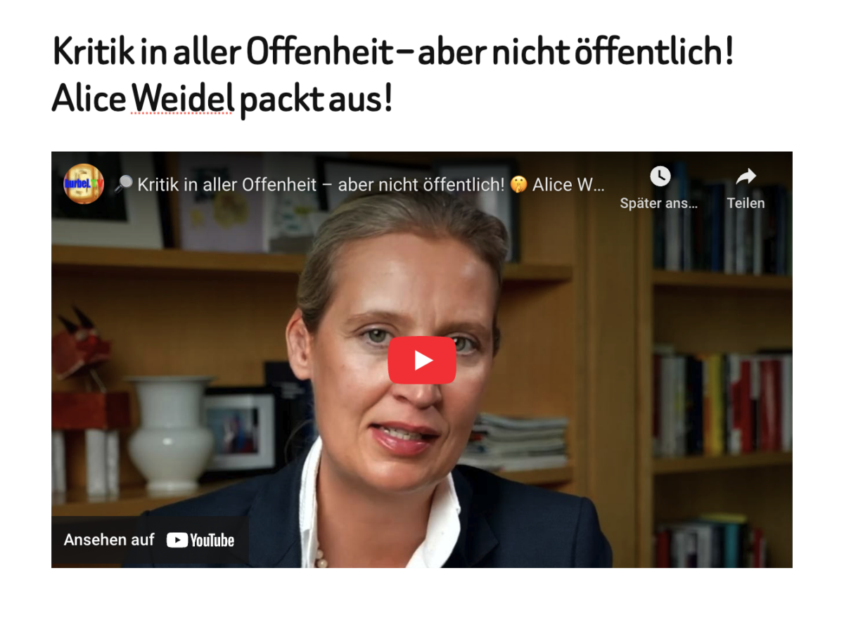 Kritik in aller Offenheit – aber nicht öffentlich! Alice Weidel packt aus!