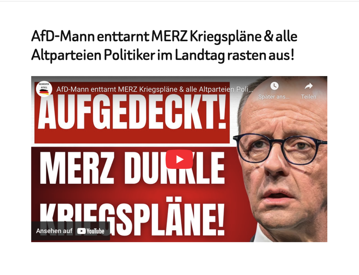 AfD-Mann enttarnt MERZ Kriegspläne & alle Altparteien Politiker im Landtag rasten aus!