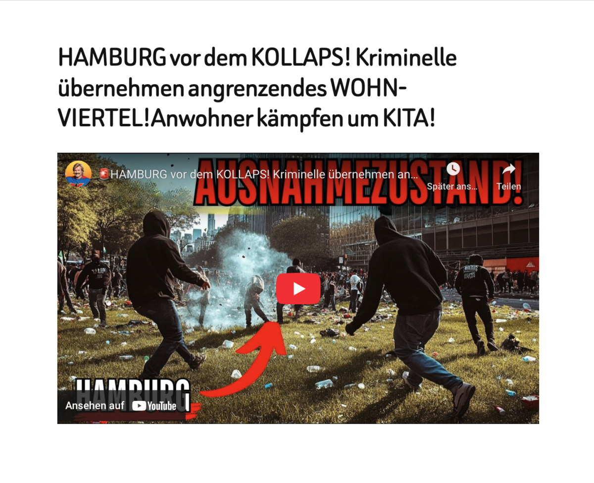 HAMBURG vor dem KOLLAPS! Kriminelle übernehmen angrenzendes WOHN-VIERTEL!Anwohner kämpfen um KITA!