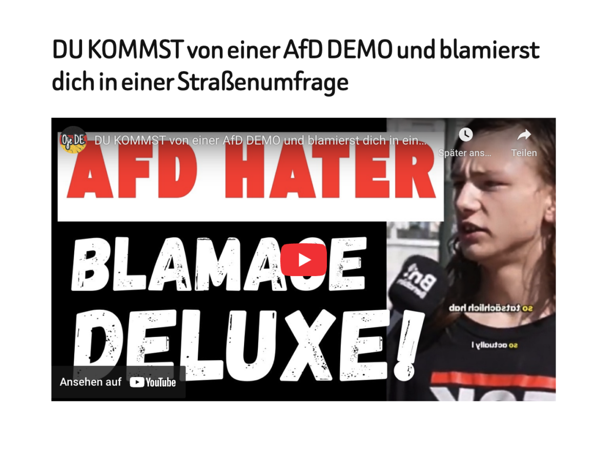DU KOMMST von einer AfD DEMO und blamierst dich in einer Straßenumfrage