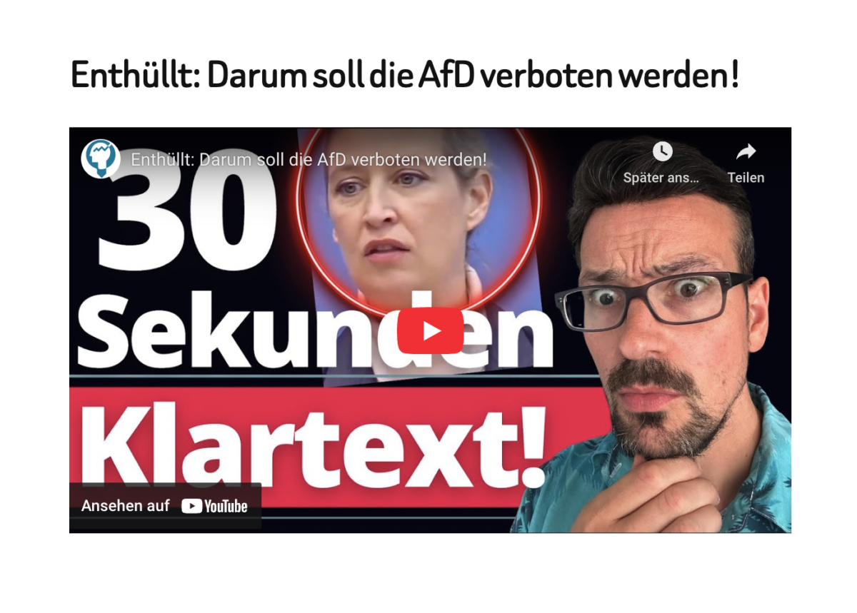 Enthüllt: Darum soll die AfD verboten werden!