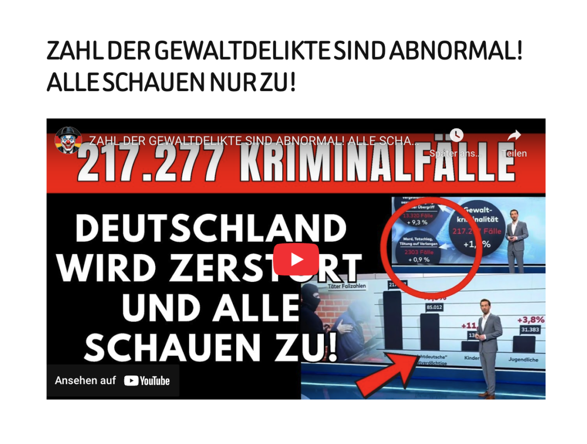 ZAHL DER GEWALTDELIKTE SIND ABNORMAL! ALLE SCHAUEN NUR ZU!