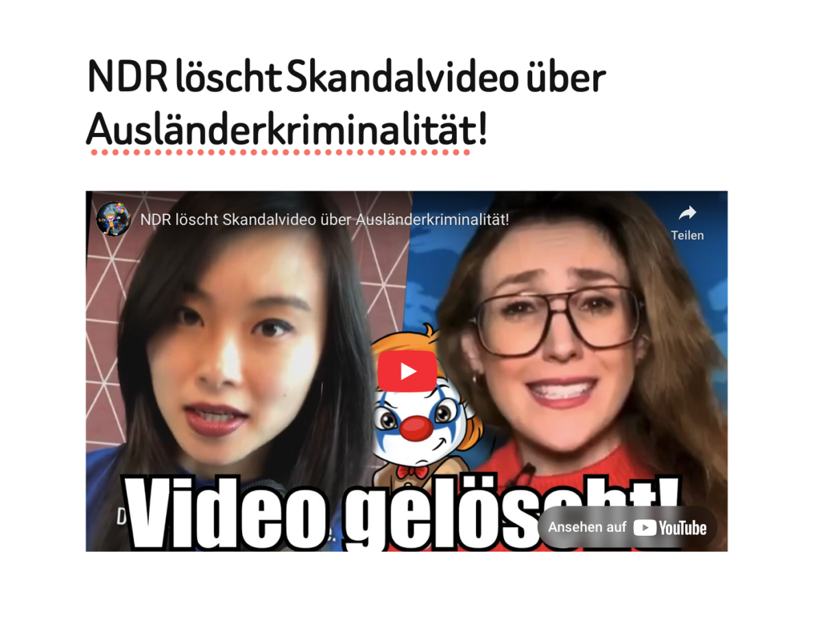 NDR löscht Skandalvideo über Ausländerkriminalität!