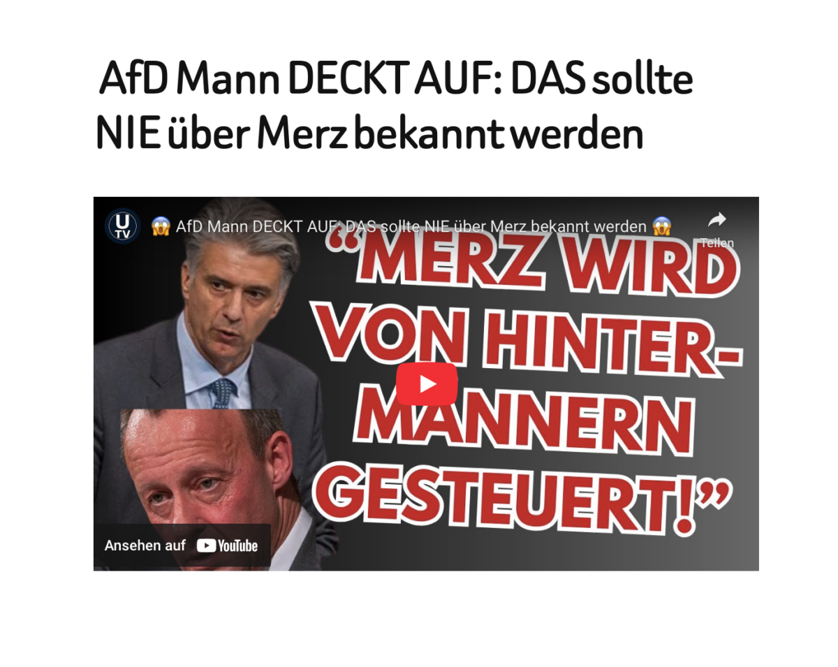  AfD Mann DECKT AUF: DAS sollte NIE über Merz bekannt werden 