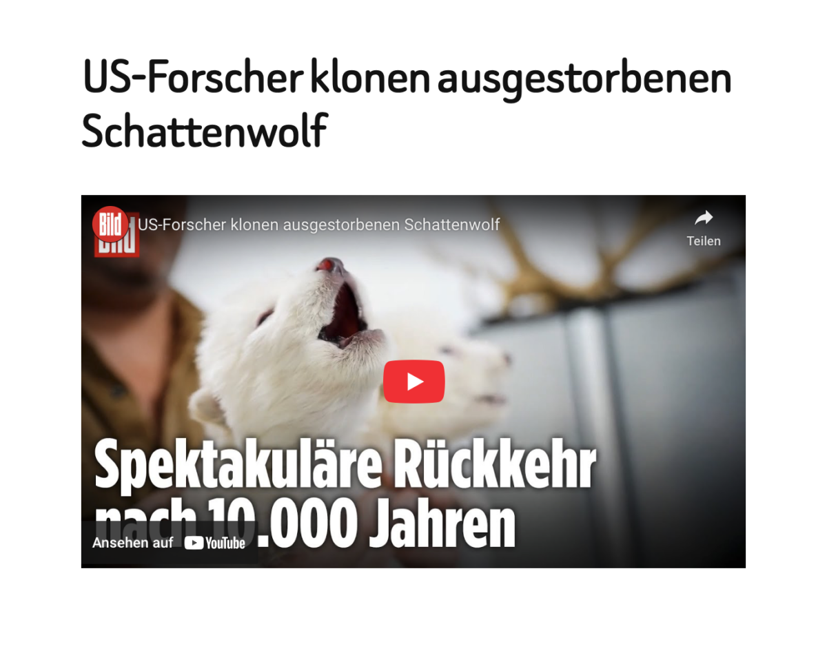 US-Forscher klonen ausgestorbenen Schattenwolf