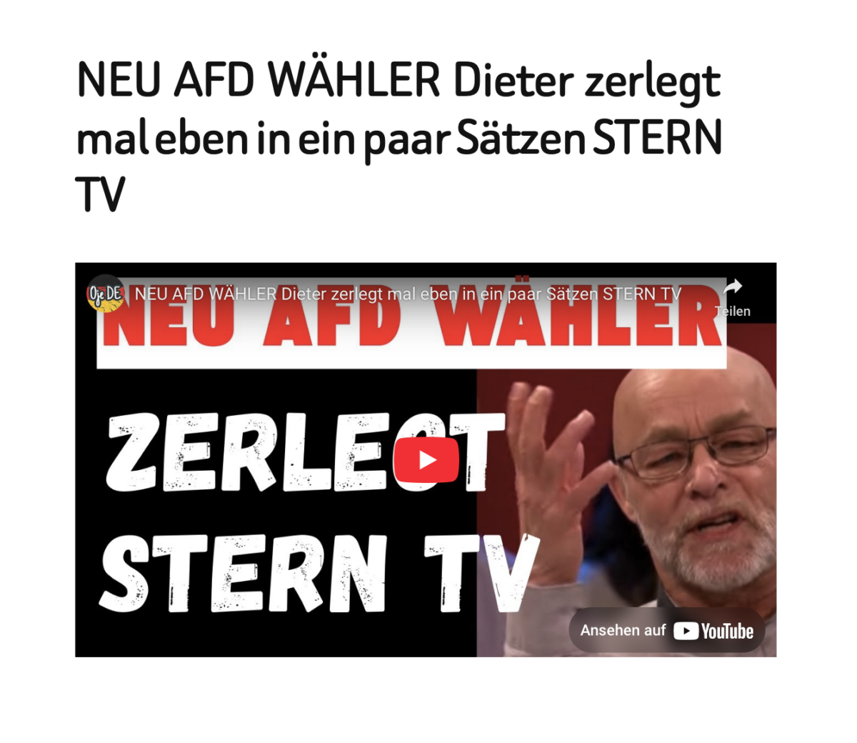 NEU  AFD  WÄHLER  Dieter  zerlegt mal eben in ein paar Sätzen STERN TV