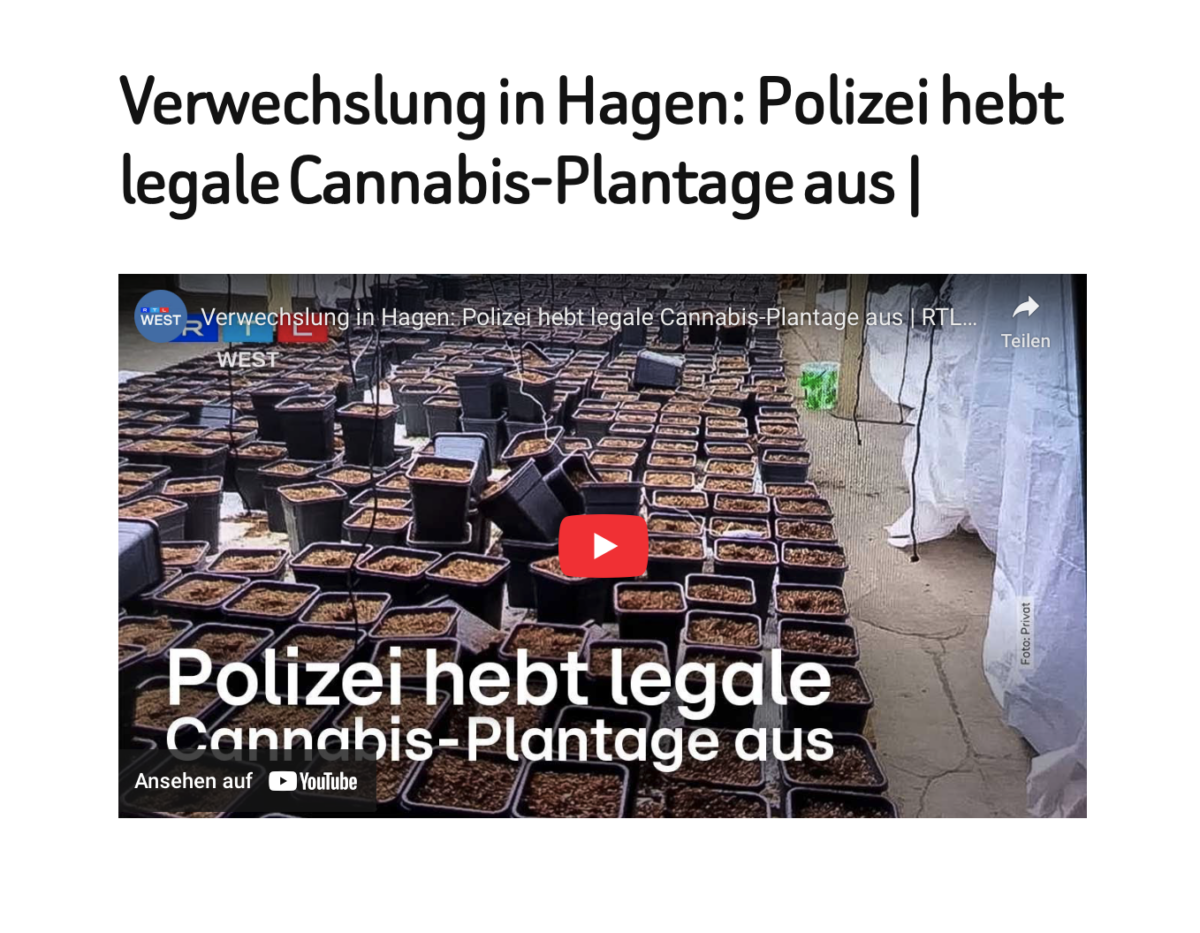 Verwechslung in Hagen: Polizei hebt legale Cannabis-Plantage aus |