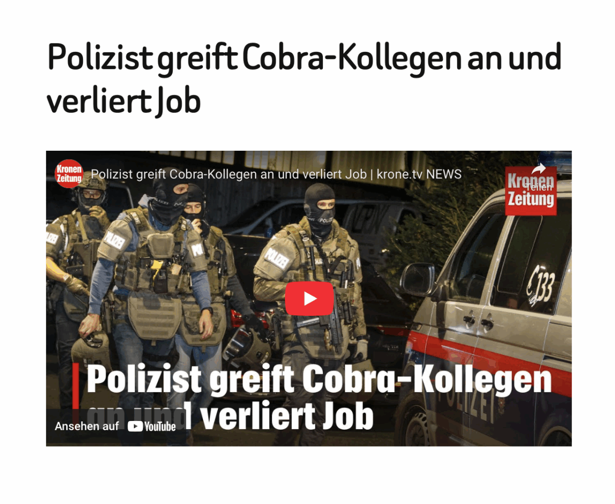 Polizist greift Cobra-Kollegen an und verliert Job 