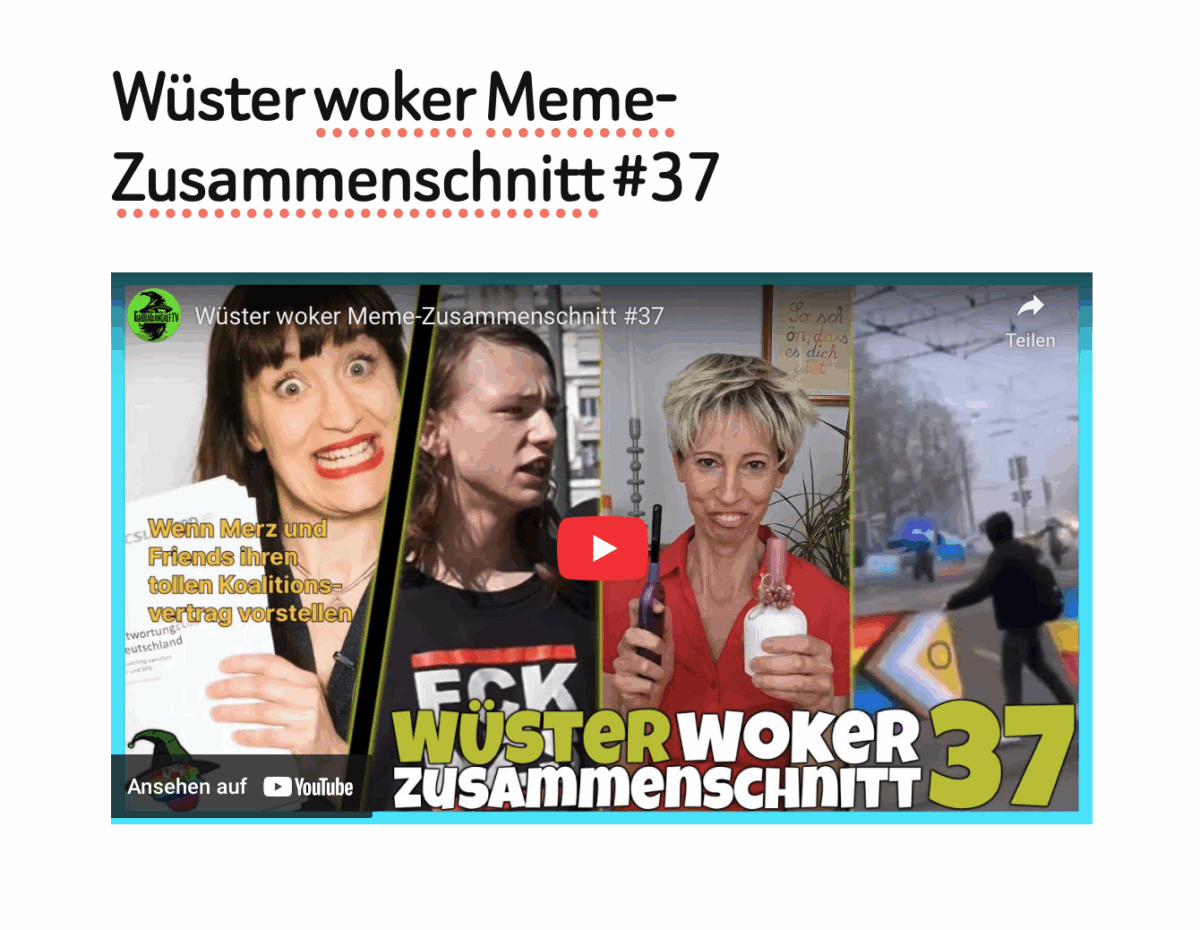 Wüster woker Meme-Zusammenschnitt #37
