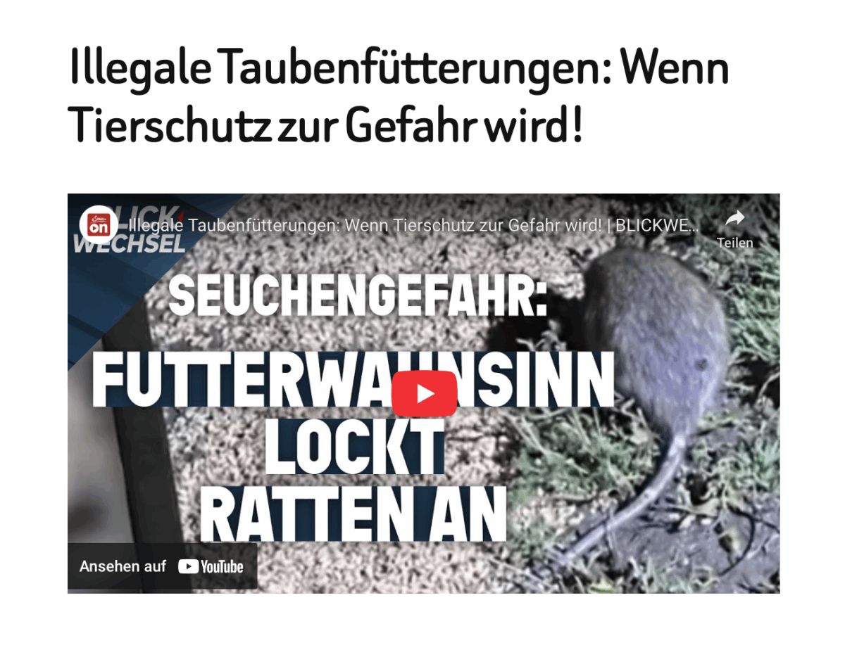 Illegale Taubenfütterungen: Wenn Tierschutz zur Gefahr wird! 