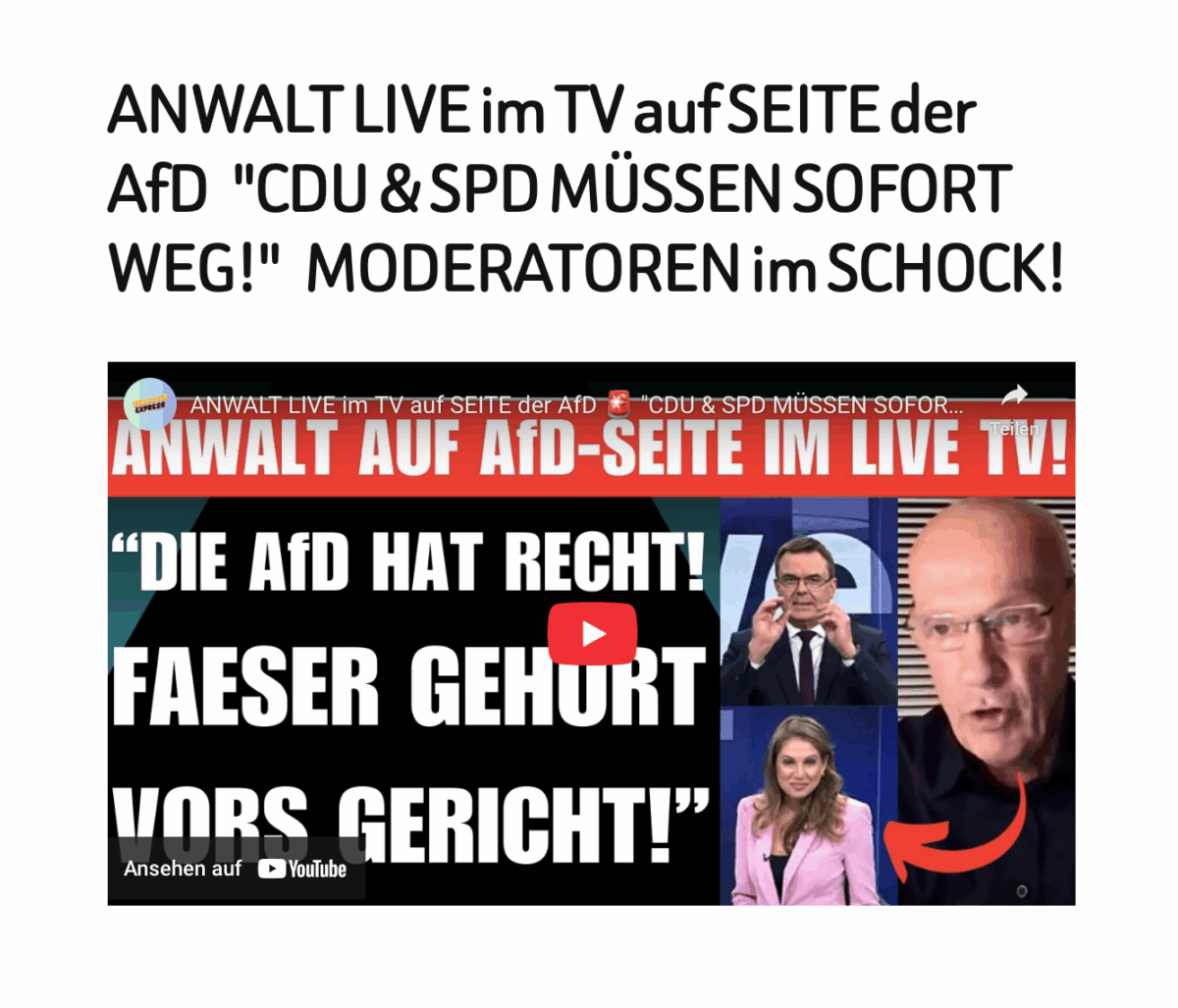 ANWALT LIVE im TV auf SEITE der AfD   „CDU & SPD MÜSSEN SOFORT WEG!“   MODERATOREN im SCHOCK!
