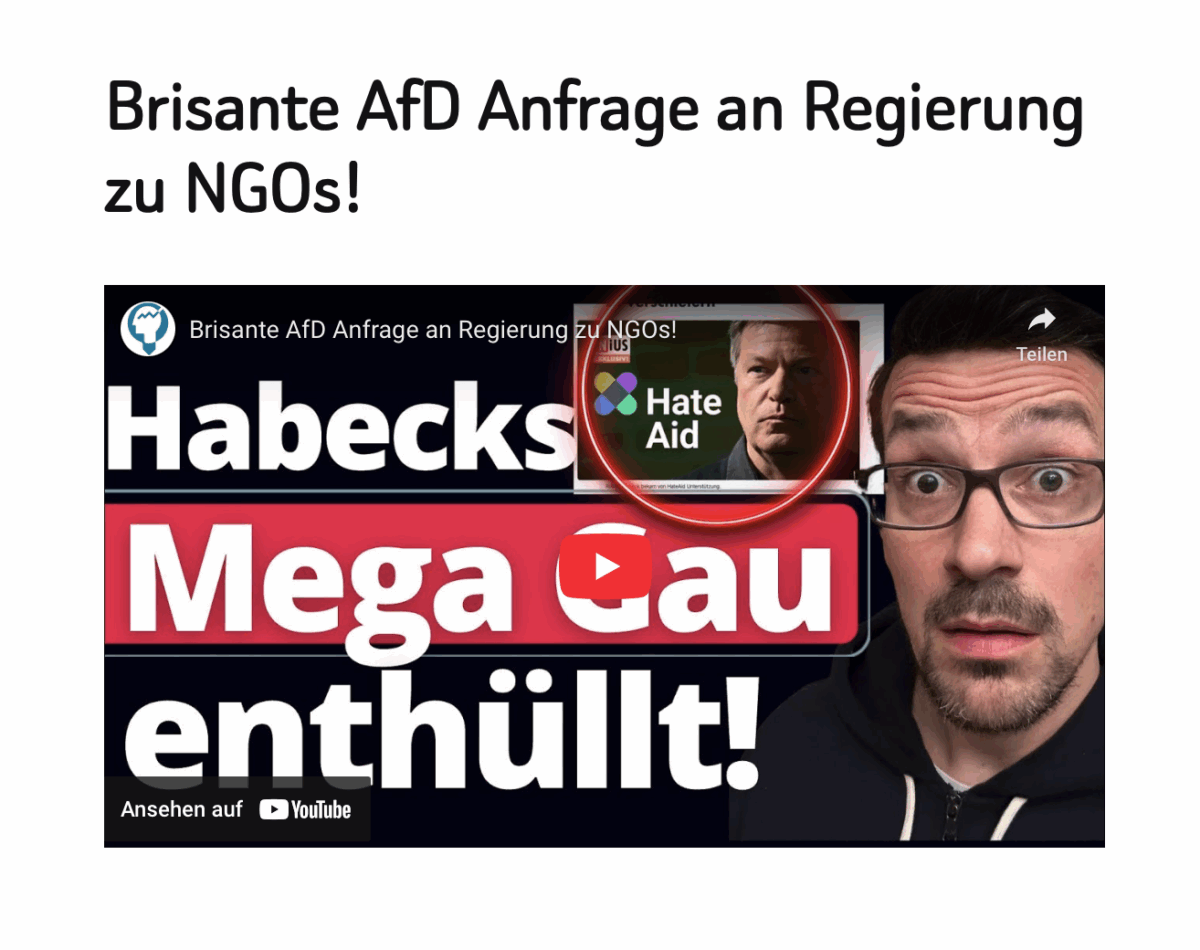 Brisante  AfD  Anfrage  an  Regierung zu  NGOs!
